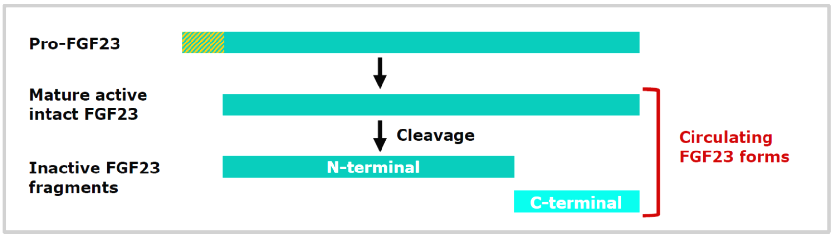 1731778545510104.png image.png